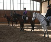 Kurz trenér, cvičitel jezdectví - Jezdecká akademie Mariánské Lázně