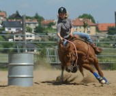 Poznáváme se - Jezdecká akademie Mariánské Lázně